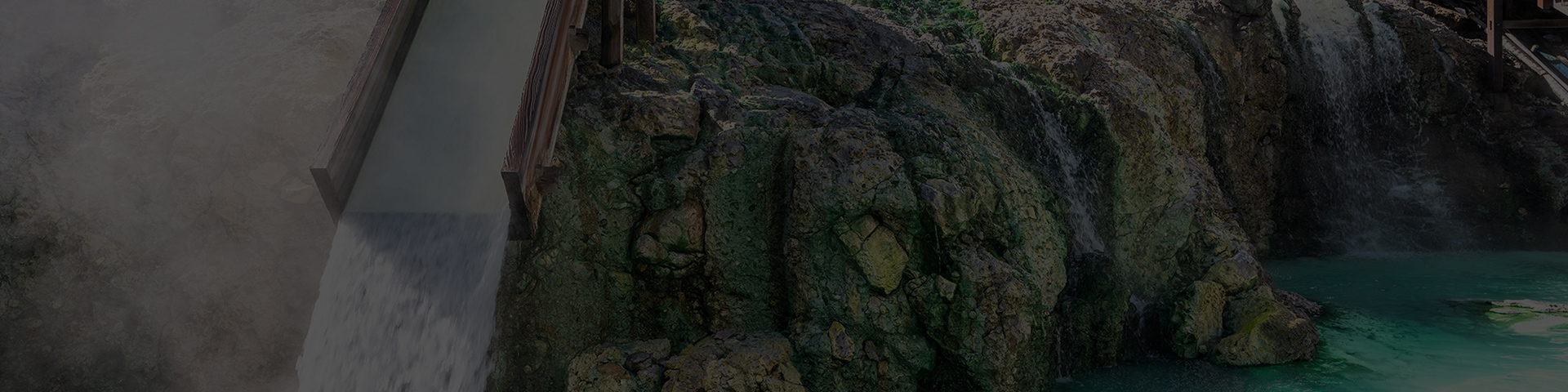 上質の食材から作り出される和の味を、心ゆくまで堪能する至福のひと時。